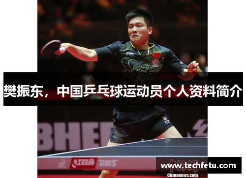 樊振东，中国乒乓球运动员个人资料简介